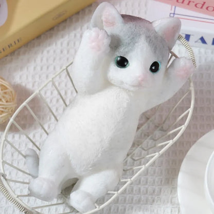 Hands-On Soft and Cuddly Cat – Squeezable Toy for Creative Play