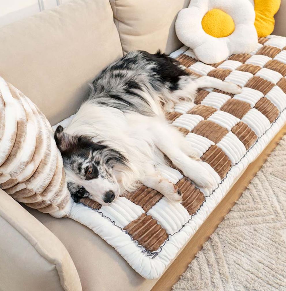 Non-Slip PupPad - For The K9 Cruiser