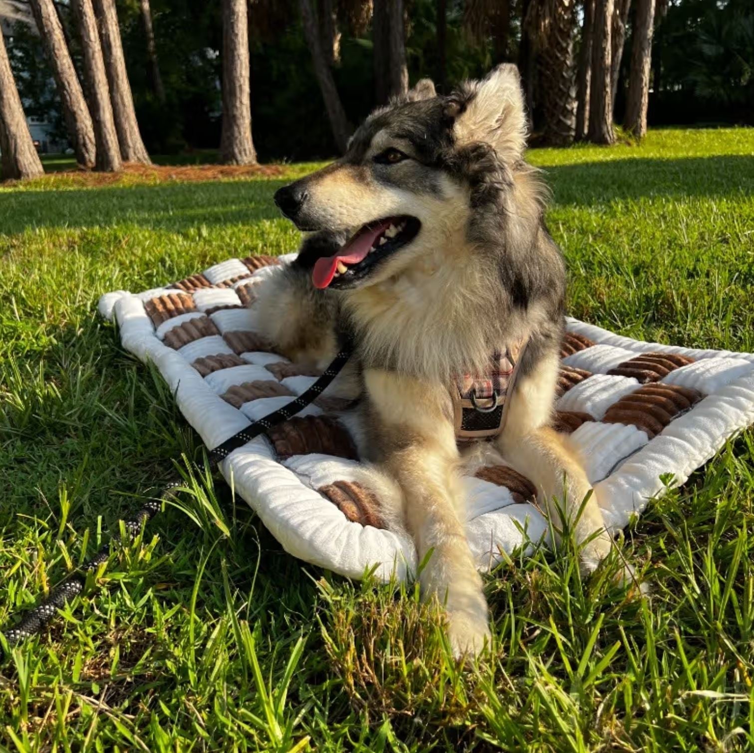 Non-Slip PupPad - For The K9 Cruiser