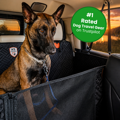 K9 Cruiser