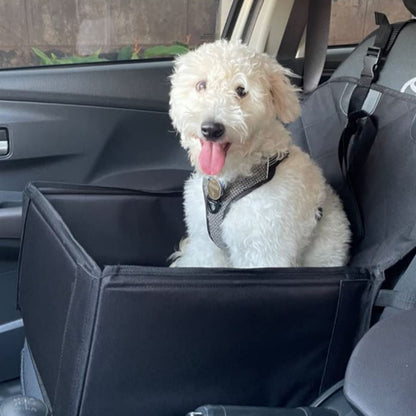 K9 Cruiser - Mini